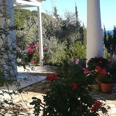 Villa Buras Skinaria Экстерьер фото