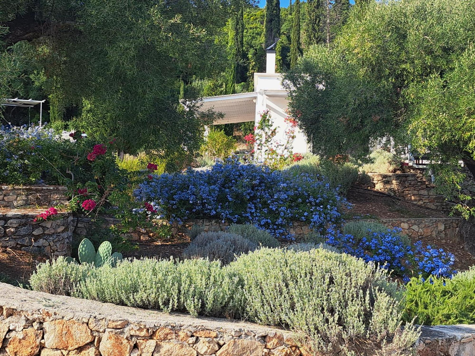Villa Buras Skinaria Экстерьер фото