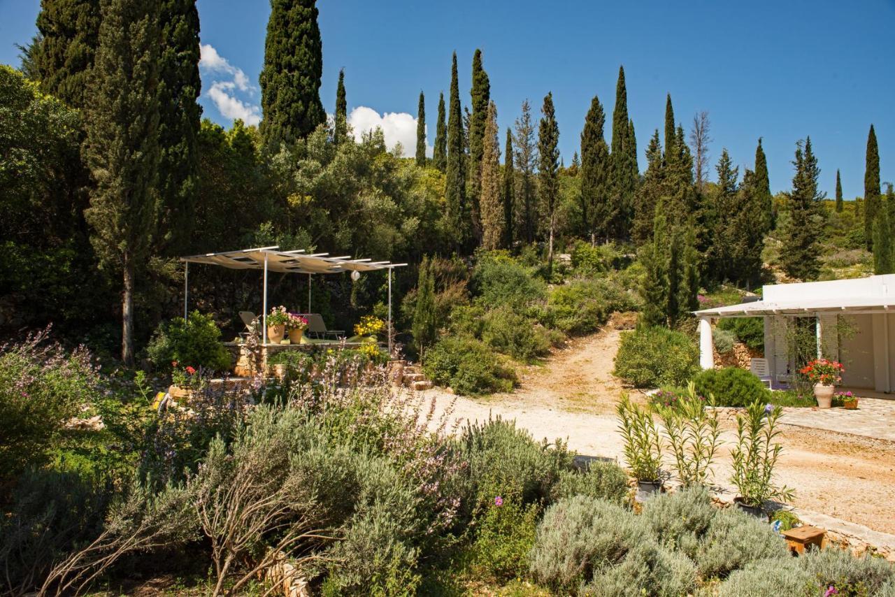 Villa Buras Skinaria Экстерьер фото